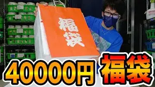 本当に何が入ってるかわからないクワカブ福袋を開封した結果、得たいの知れないヤツいた