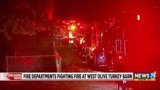 Fire destroys turkey coop in Olive Township