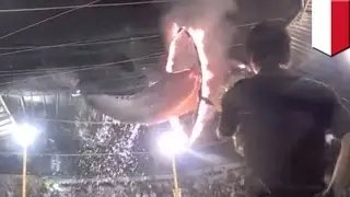 Cruel animal circus: Dolphins forced to jump through flaming hoops, bears rides tricycle - TomoNews