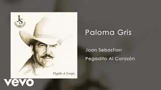 Joan Sebastian - Paloma Gris (Audio)