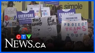 Alberta judge puts off decision on hormone therapy and puberty blockers ban