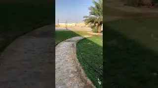 قصة رهن وطبان الدويش المطيري وفيصل ابن سويط الظفيري وتدخل بريك بقعاء وحل النزاع بطريقة ذكيه