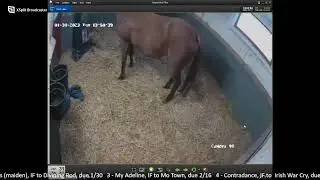 Daytime Stream 1/30/23