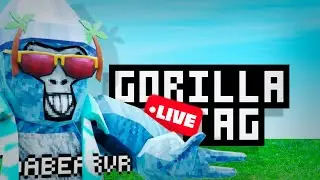 PLAYING GORILLA TAG WITH VIEWERS!