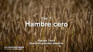 Planeta Tierra &ndash; Hambre cero (Cap. 7)