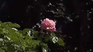 Дом Харта