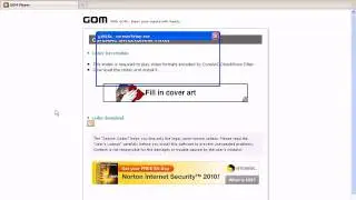 gomplayer codec