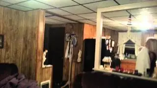 Bat flying in house! Hysterical!