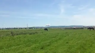 Boeing 737 lands at the Sibiu Airport