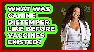 What Was Canine Distemper Like Before Vaccines Existed? - Ask A Pet Vet