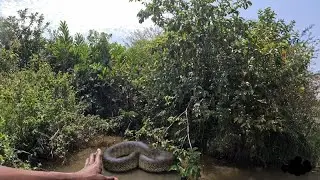 ONE ON ONE WITH AFRICA'S BIGGEST ROCK PYTHON 🇰🇪 @farmingleaderOfficial @WODEMAYA @iammarwa