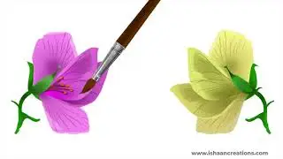 Non Conventional Plant Breeding (Video -2)