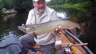 Massena NY Fishing Series #3 - Tributary Fishing for Muskies