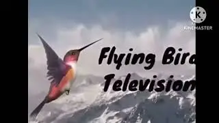 Lucas M. Soares Animation Studios/Flying Bird Television Logo (1991-1997)