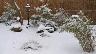 Зимняя сказка.