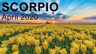 SCORPIO APRIL 2020 TAROT READING 