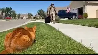 🐈 🥰🥰 How Do Cats React When Dad Returns After Years? #cat