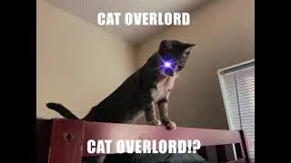 cat overlord