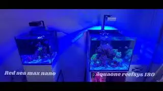 Aquaone Reefsys 180 | Soft Coral Tank