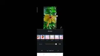 Tutorial for How to make  status with floating caption