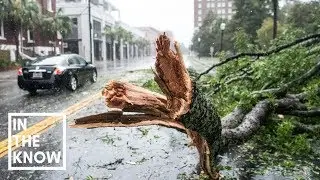 These are the best ways to stay safe during a hurricane