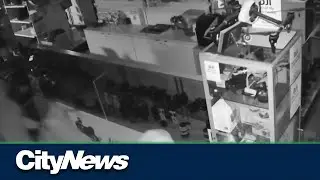 Calgary camera store robbed, loses $30,000 in equipment