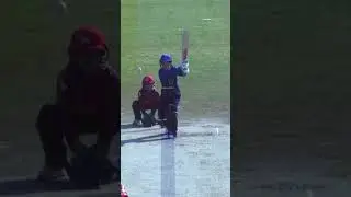 Great Review & Gets The Big Wicket #LevelPlayingField #AMvSW #SportsCentral #PCB #Shorts MI2A