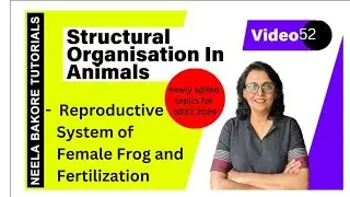 Reproductive System of Female Frog & Fertilization | NEET 2024 | Neela Bakore Tutorials
