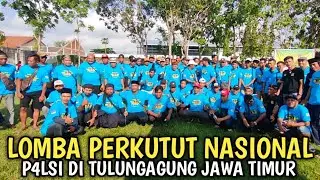 LOMBA BURUNG PERKUTUT LOKAL NASIONAL P4LSI 2025 DI TULUNGAGUNG JAWA TIMUR ...