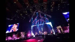 Novelbright - アイビー [Official Live Video]