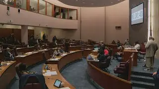 Alderman says more colleagues will likely join City Council exodus