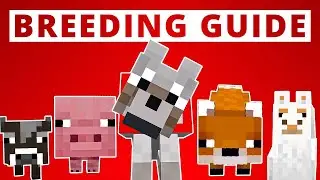 How to Breed Animals in Minecraft - Breeding Guide