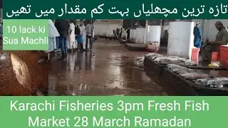 Karachi Fisheries 3pm Afternoon Fresh Fish Market / Ramadan Updates 28 March