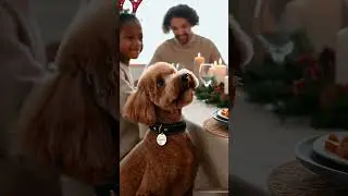 It's Christmas | Funny Fantasy Stories