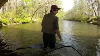 My first Palomino (Golden Rainbow) Trout on the Cherokee Trophy Section
