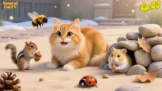 Natural Cat TV 🐾 Cat Nature Odyssey Featuring Real Wildlife and Outdoor Ambience for Curious Cats 🎶