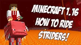 How to Ride Striders in Minecraft
