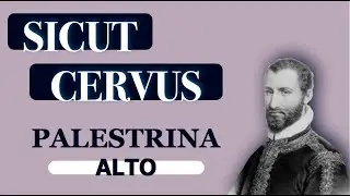Alto Dominant - Sicut Cervus (Palestrina)