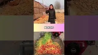 Какой у тебя был самый безумный план, который действительно сработал?.. #шорты