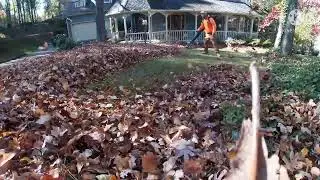 Complete Leaf Clean Up Start to Finish
