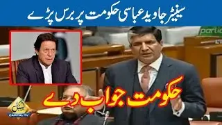 Hakomat Jawab Dey | Javed Abbasi Speech in Senate Today | 17 February 2020