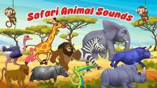 Safari Animal Sounds Song &ndash; A Fun Jungle Adventure!