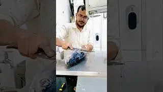 amazing giant sea tuna fish cutting beautiful fish show #youtube #viral #shorts #video