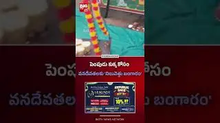 పెంపుడు కుక్క కోసం వనదేవతలకు 'నిలువెత్తు బంగారం' | Dogs | Medaram |  BIG TV Hyderabad