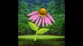 greenest spring forest escape video walkthrough