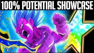 100% F2P COPY VEGETA Showcase [Dragon Ball Z Dokkan Battle]