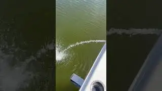 Testing new bilge pump! Keys marine service. #floridakeys #flkeys #keylargo #watertest