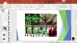 MS PowerPoint- Home Tab-Clipboard-Use for Cut, Copy Paste, Paste Special & Format Painter in English