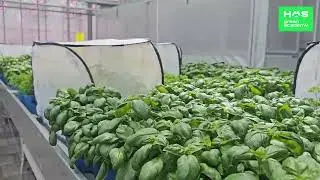 Teaser faciliteiten - HAS green academy