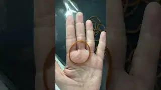 Shorts 30 - Don't buy these rubber bands from SM Department Store
